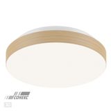 Фото 3066/AL - 3