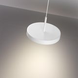 Фото 359280 - 4