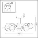 Фото 4554/6CA - 2