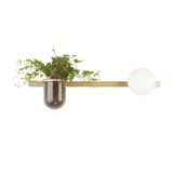 Фото 4682/1WA - 1