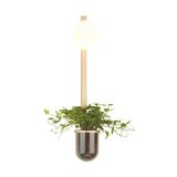 Фото 4682/1WB - 4