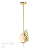 Фото 4864/1A - 5