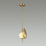 Фото 4864/1A - 6