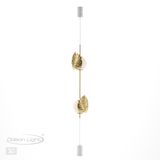 Фото 4864/2FC - 5