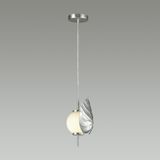 Фото 4865/1A - 6