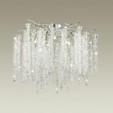 Фото 5004/8C - 5