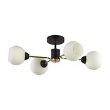 Фото 5646/4C - 1