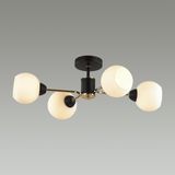 Фото 5646/4C - 3