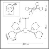 Фото 5650/4C - 2