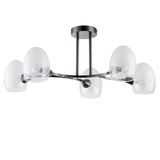 Фото 6513/5C - 1