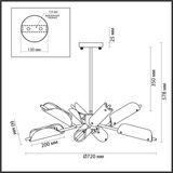 Фото 6537/8C - 2