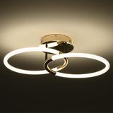 Фото 6545/61CL - 3