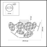 Фото 6553/6C - 2