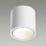 Фото 6620/10CL - 4