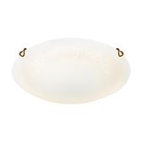 Фото 7602/BL - 4