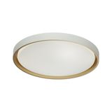 Фото 7645/DL - 5