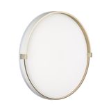 Фото 7646/DL - 1