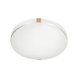 Фото 7676/DL - 4