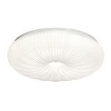 Фото 7678/EL - 6