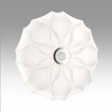 Фото 7688/DL - 4