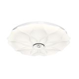 Фото 7688/DL - 5