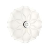 Фото 7688/DL - 6