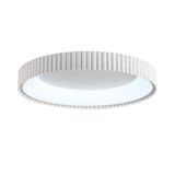Фото 7763/56L - 9
