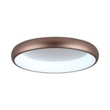 Фото 7773/56L - 10