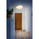 Фото 7779/EL - 3