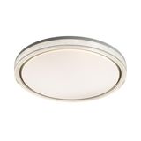 Фото 7781/EL - 6