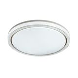 Фото 7781/EL - 8