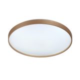 Фото 7783/EL - 10