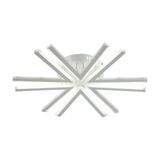 Фото 8029/60CL - 7