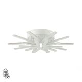 Фото 8029/80CL - 1