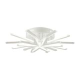 Фото 8029/80CL - 7