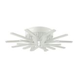 Фото 8029/80CL - 8