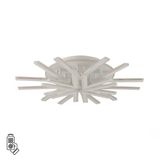 Фото 8029/95CL - 1