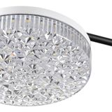 Фото 8236/4CL - 4