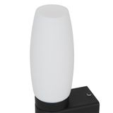 Фото A1209AP-1BK - 4