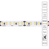 Фото A2418008-02-4K - 1