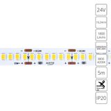 Фото A2424010-02-4K - 1