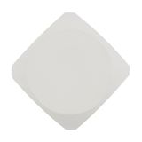 Фото O014WL-L4W - 4