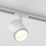 Фото 85513/01 - 3