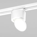 Фото 85515/01 - 2