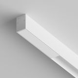 Фото TRX010DR2-100W - 5