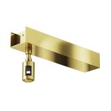 Фото TRA156C-BB1-BS - 1