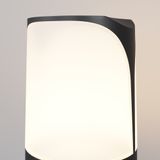 Фото O018FL-01B - 5