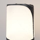 Фото O018FL-01B - 6