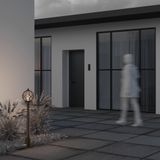 Фото O023FL-01G - 7