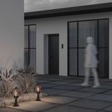 Фото O024FL-01G - 7